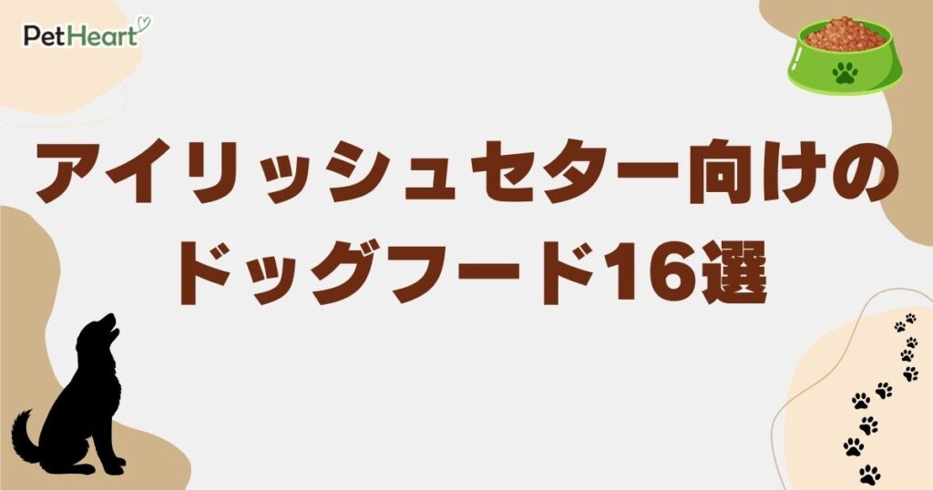 アイリッシュセター ドッグフード
