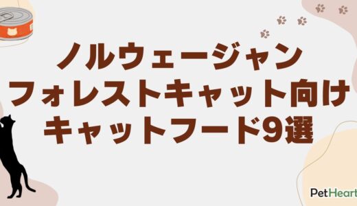 ノルウェージャンフォレストキャット向けキャットフード9選！通販や子猫用も紹介