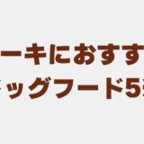 サルーキ ドッグフード