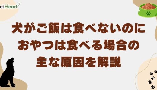 犬がご飯は食べないのにおやつは食べる場合の主な原因！実際のしつけ方法も解説
