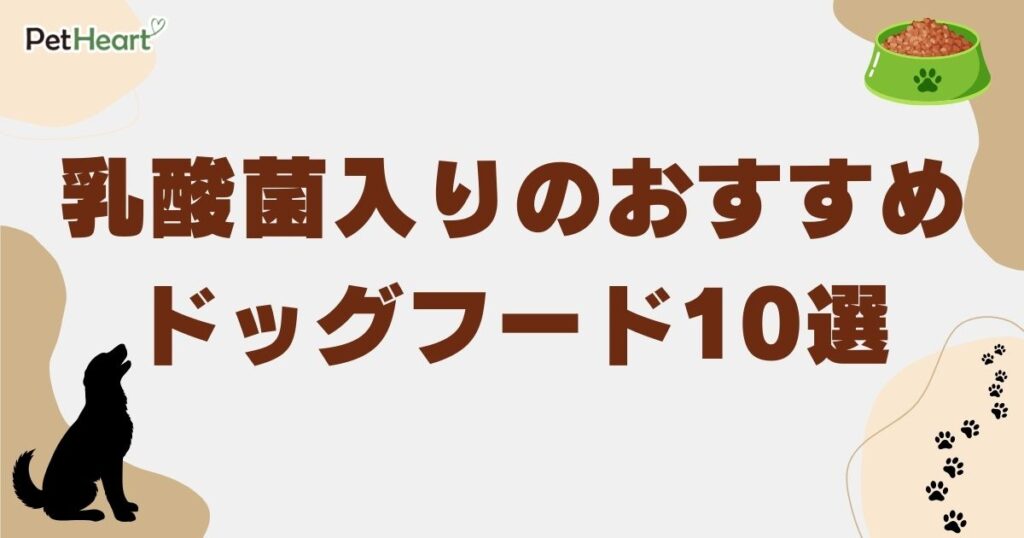 ドッグフード 乳酸菌