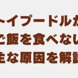 トイプードル ご飯食べない